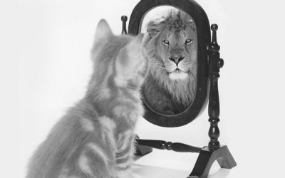 Self Image – Developing and Safeguarding